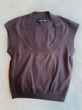 Express Brown sweater vest